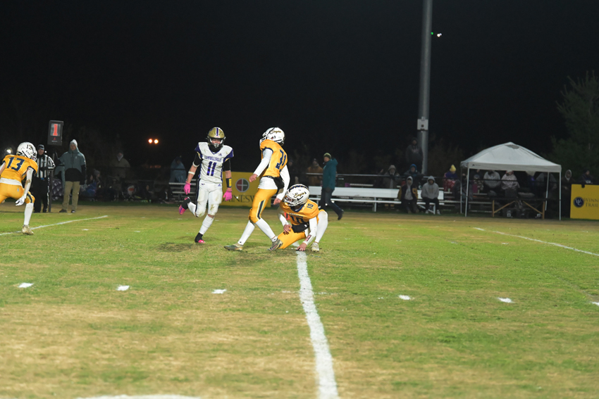 SFB 112924 L387
