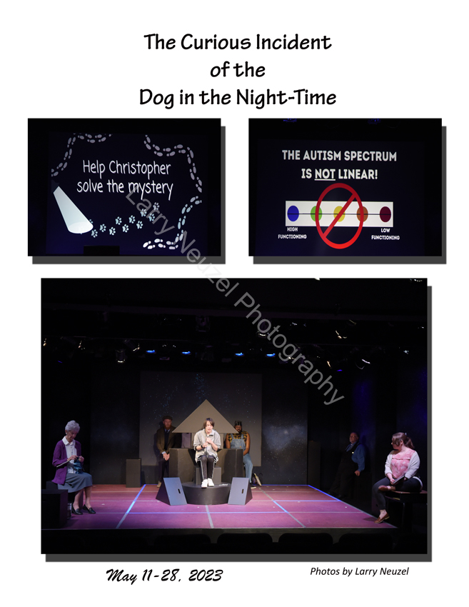 Studio Players-The Curious Incident of the Dog in the Night-Time